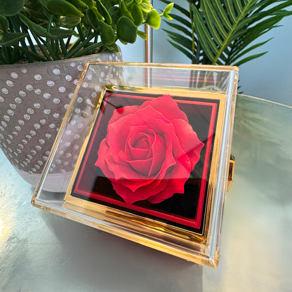 Christmas Gift for Her - Rose Gift Box with Necklace